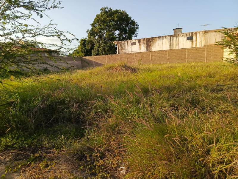 Terreno en El Valle del Espíritu Santo