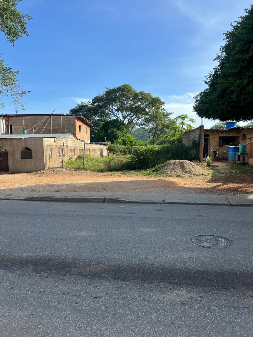 Terreno en La Asunción 