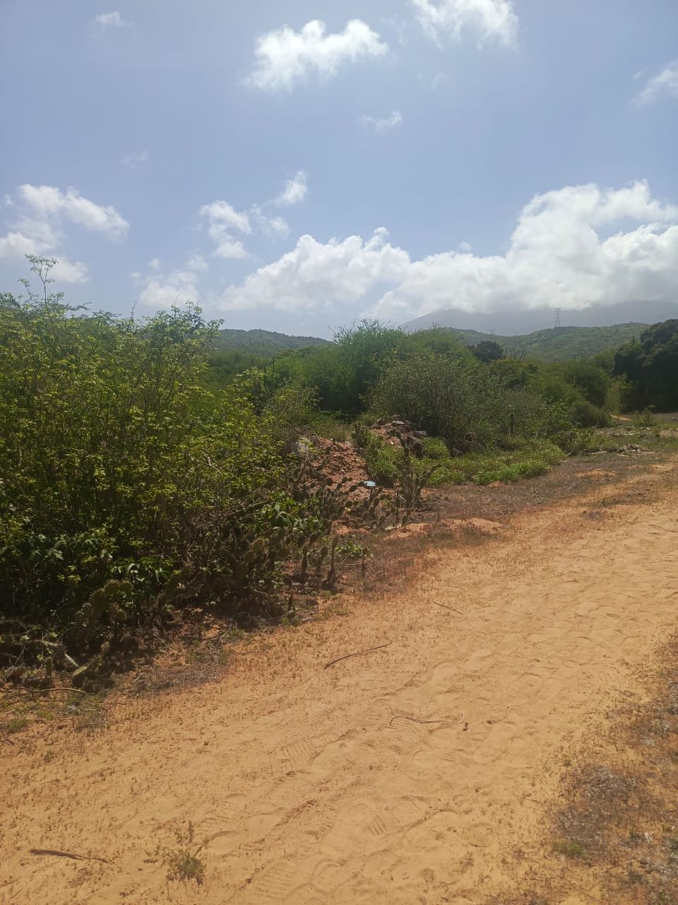 Terreno en Los Robles