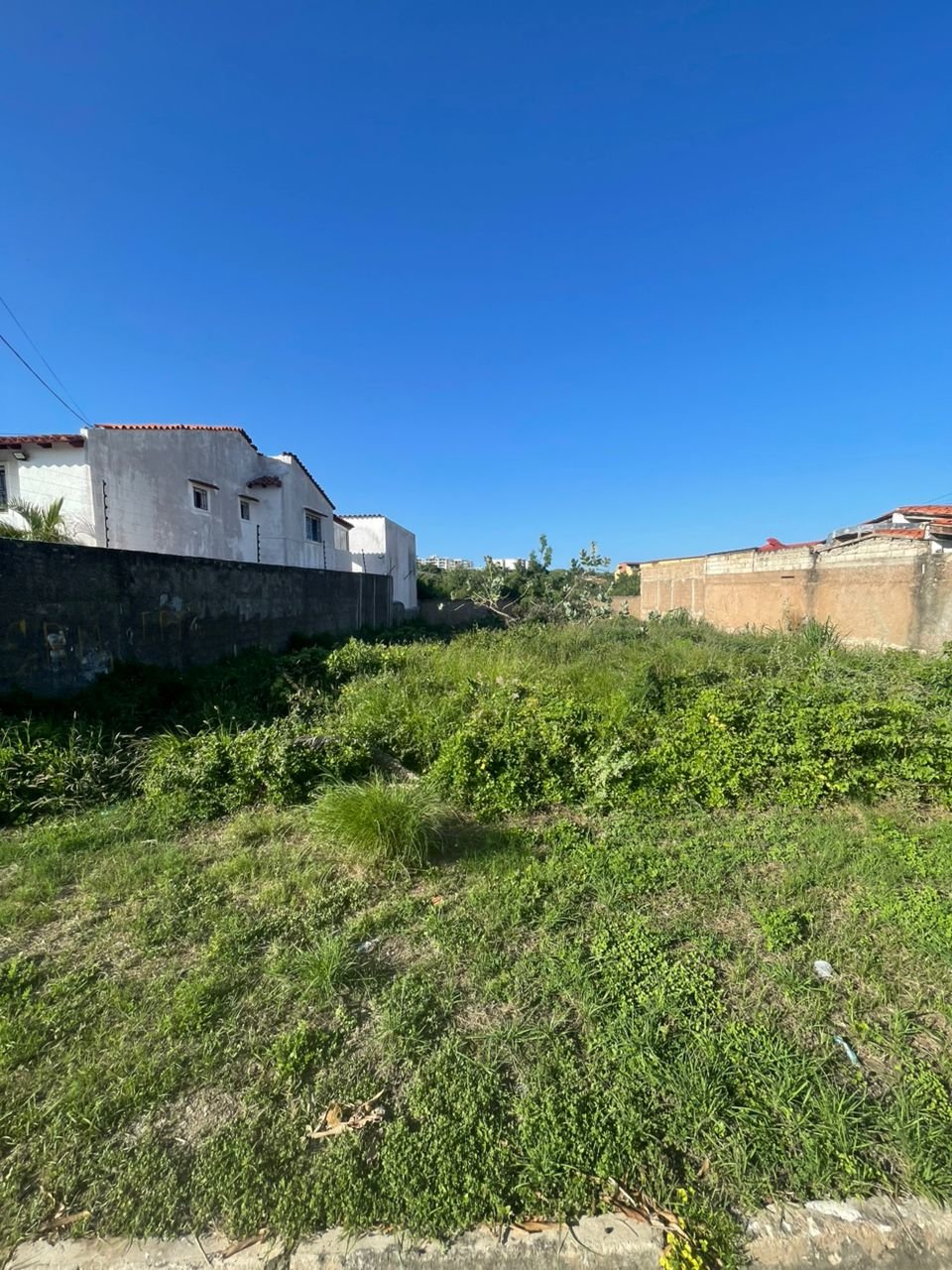 Terreno en Jorge Coll 